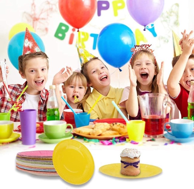 Disposable Plates  - Plain (Pack of 8) - Image 2