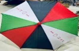 UAE Flag Color Umbrella (Pack of 2)