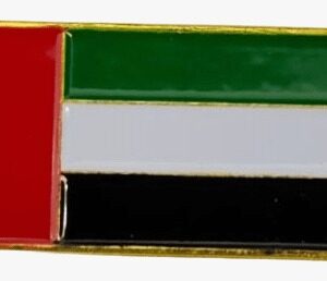 UAE Flag - National Day Badge (Pack of 4)