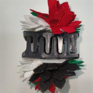 FLAG MULTI COLOR  HAIR CLIP CLAW (Pack of 6)