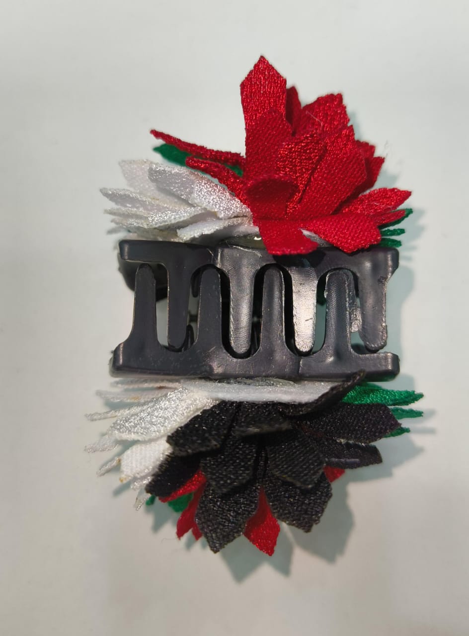 FLAG MULTI COLOR  HAIR CLIP CLAW (Pack of 6)